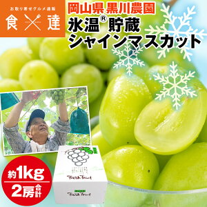 VC}XJbg 2[ 1kgȏ RY X   Yn Ԃǂ uhE  _ ① s ws Y