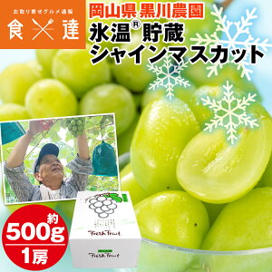 VC}XJbg 1[ 500gȏ RY X   Yn Ԃǂ uhE  _ ① s ws Y