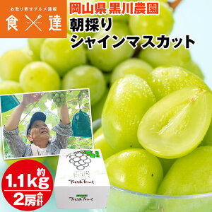 VC}XJbg ̂ 2[ v1.1kg (1[550g) RY ȂԂǂ  uhE Y ① s ws