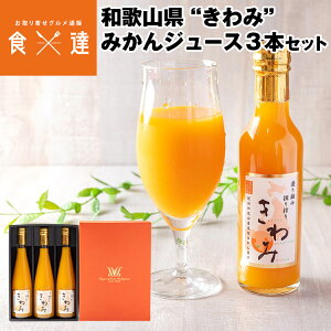 W[X Mtg  ݂ 500ml 3{Zbg 100%Xg[g a̎RY 퉷 s ws 񂹃O Hi Y