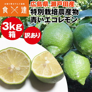  3kg 󂠂 O[ LY ˓c  Y ʍ͔|_Y Y 퉷 s ws