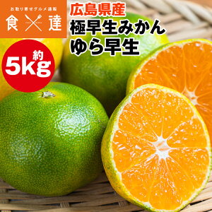 瑁 ݂ 5kg LY B݂ ~J  k Y 퉷 s ws