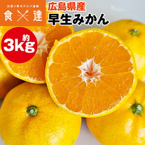 ݂ 3kg LY B݂ ~J  k Y 퉷 s ws