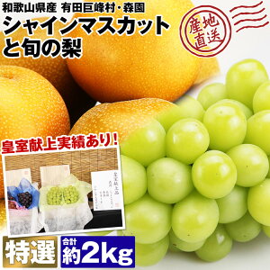 VC}XJbg  lߍ킹 Zbg { I 2kg a̎RY Ԃǂ c i X ϔ Y Yn ① s ws