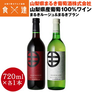 C Ԕ720ml×2{Zbg RYԂǂ100 RbBs ܂邫 퉷 s ws Y