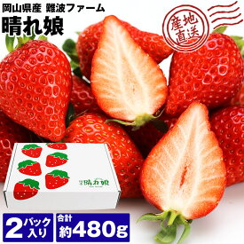 ゆめのか いちご 2パック 合計約480g 22粒 晴れ娘 岡山県産 贈答用 ギフト 産地直送 イチゴ 苺 ブランド フルーツ 果物 産直 冷蔵便 同梱不可 指定日不可