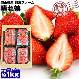 ゆめのか いちご 1kg (250g×4パック) 平トレー 晴れ娘 岡山県産 ギフト 産地直送 イチゴ 苺 ブランド 産直 冷蔵便 同梱不可 指定日不可