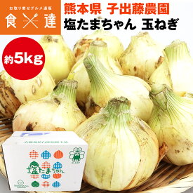 玉ねぎ 塩たまちゃん 秀品 5kg 22〜27玉程度 子出藤農園 鉄腕ダッシュ 青空レストラン タマネギ 熊本県産 産直 常温便 同梱不可 指定日不可