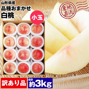  3kg 󂠂 ƒp  R`Y i킨܂ 12`13ʒx    Y ① s ws