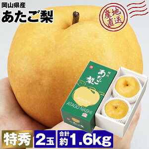   p 2 v1.6kg  RY G Yn Ȃ iV  t[c ʕ 퉷 s ws Y