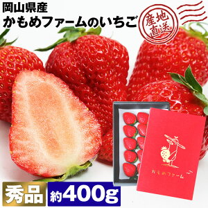 ������ �M�t�g �G�i 400g ���ϔ� ���R���Y ��� ������� �͕P ��߂̂� ��ڂ� ���� ������ �C�`�S � �①�� �����s�� �w����s�� �Y��