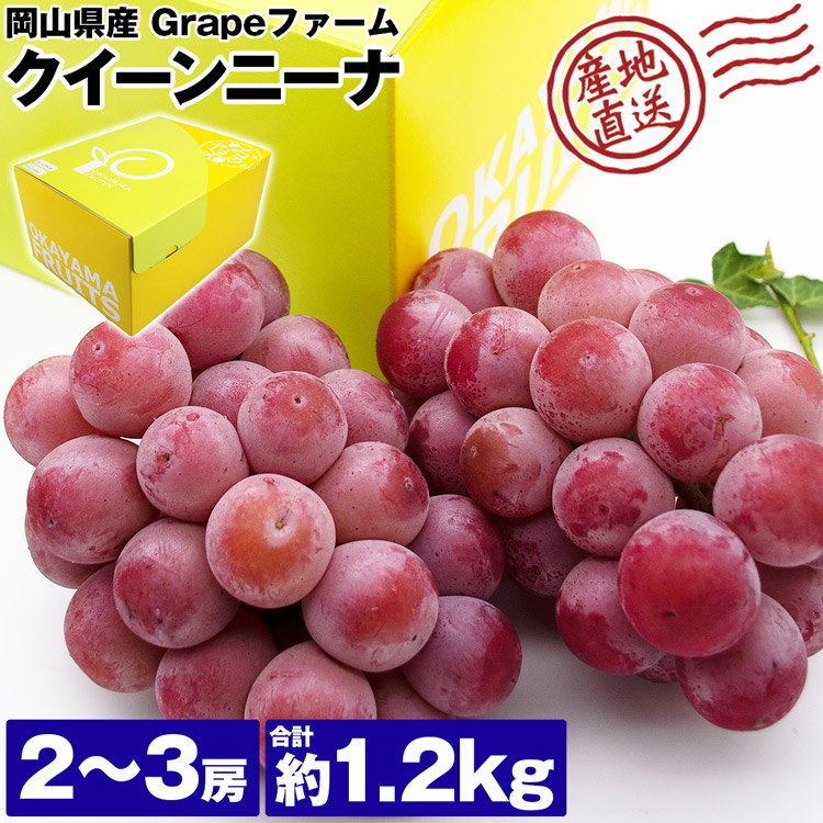 競売 9 20収穫•発送 シャインマスカット粒1kg③ - linsar.com
