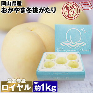  Mtg ~ RY  v1kg Mtg  Ε 퉷 s ws Y