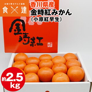 ݂ 2.5kg g݂ 쌧Y g S`LTCY Ε Mtg  Ε ~J  Y 퉷 s ws