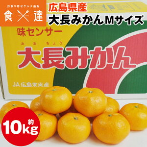 ݂ 10kg 咷݂ LY MTCY Ε Mtg  Ε ~J  Y 퉷 s ws