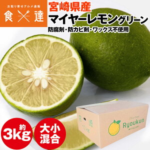  Y O[ 3kg {茧Y }C[ OOƃ Y 퉷 s ws