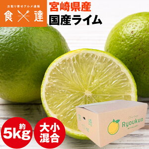 C Y 5kg O[ {茧Y OOƃC Y 퉷 s ws