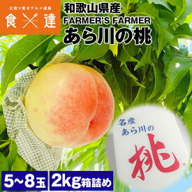 あら川の桃 5～8玉 2kg箱詰め 和歌山県産 紀の川市 桃山町 桃 ギフト 常温便 同梱不可 指定日不可 産直