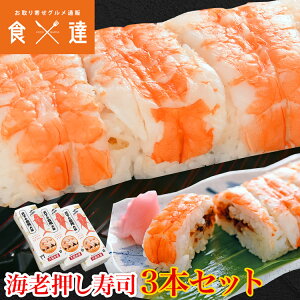 Ⓚi CV 3{Zbg  i NY  Gr lߍ킹 Hi 񂹃O Hi Mtg