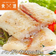 骨取り 白身魚 フィレ 1kg パンガシウス バサ パサ 冷凍 業務用 魚フライ フィッシュ チップス 骨なし 処…