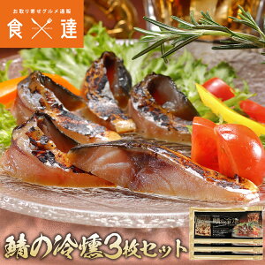 I̗ 3pbN  X[N  To ܂ {HI tB Ⓚ