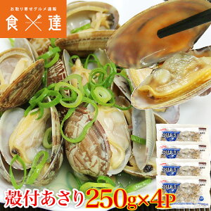 Ⓚ 250g×4P v1kg ς  AT kt  Ⓚ 񂹃O Hi Mtg CN