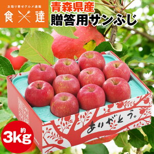 Tӂ 3kg XY p  9`11 ь S ӂ t[c ʕ ws s Y