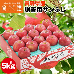 Tӂ 5kg XY p  16`18 ь S ӂ t[c ʕ ws s Y