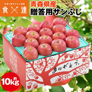 Tӂ 10kg XY p  32`36 ь S ӂ t[c ʕ ws s Y