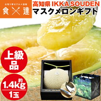 楽天市場】マスクメロン 高知の通販