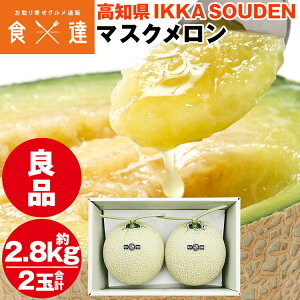 }XN Mtg  2 v2.8kg (1.4kg×2) Ǖi Yn mY p Y 퉷 s ws