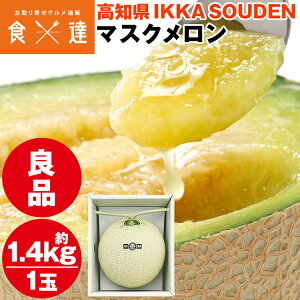 }XN Mtg  1 1.4kg Ǖi Yn mY p Y 퉷 s ws
