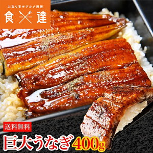 Ȃ Ă V 400gO×1 1{   EiM ΏĂ ^ Ⓚ Mtg 