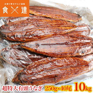 Ȃ LJ 250g×40 10kg Ɩp  Ⓚ V ΏĂ  Mtg