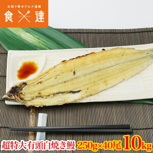 Ȃ Ă LJ  250g×40 10kg Ɩp Y  Ⓚ V 