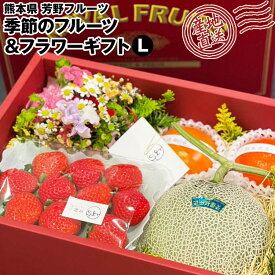 フルーツ 花 ギフト Lサイズ おまかせ 季節のフルーツ＆フラワーギフト 熊本県 冷蔵便 同梱不可 指定日不可 産直