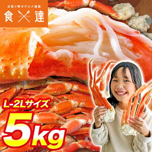 訳あり L〜2Lボイルズワイ蟹 5kg 送料無料 冷凍便 業務用 ずわいがに ずわい蟹 かに カニ 蟹 お取り寄せ