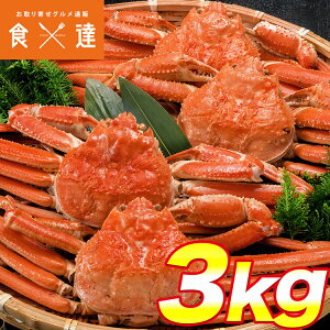 姿ずわいがに 3kg 5〜7尾 蟹 カニ かに ずわいがに ズワイガニ カニミソ かにみそ 蟹味噌 業務用 訳あり 送料無料 ギフト お取り寄せグルメ 食品 ギフト 海鮮
