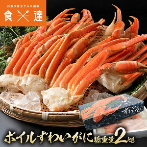 4LTCY {C 킢I d2kg NET1.8kg  Ⓚ I Jj 킢 YCKj   Hi ~