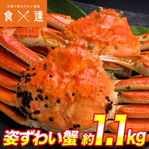  I Jj Ji_Y {Cς p킢2 1.1kg(1kg`1.2kg)  Mtg 񂹃O Hi Mtg CN