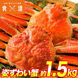 {Cς p킢I2Zbg 1.5kg(1.4kg`1.6kg) Ji_Y  YCKj Ⓚ Mtg
