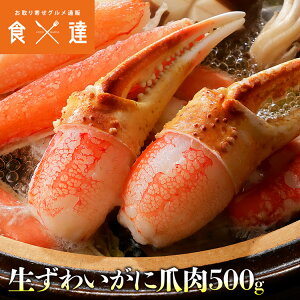 YCKj ܓ 500g |[V g  I Jj 񂹃O Hi Mtg CN