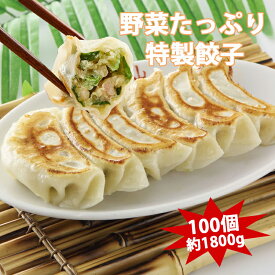 餃子 送料無料 冷凍餃子 野菜たっぷり 100個 18g 焼き餃子 生餃子 ぎょうざ ギョウザ ギョーザ 冷凍食品 食品 惣菜 中華惣菜 点心 中華 中華点心 横浜中華 グルメ 大人気冷凍商品 業務用 豚肉 野菜 おつまみ おかず ビール 美味しい お中元 ギフト プレゼント