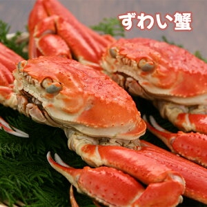 Jj |[V r_   v~A YCKj  YCI hg I 킢ɑ Ε p Ԃ Zbg Mtg Ε v[g Mtg