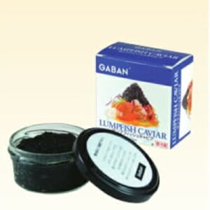 Mo vLrA 50g×24 (vtBbVLrA) ①iGABAN p[eB  NX}X VN 񂹕i