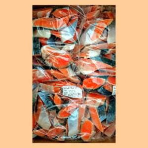 ؂g 100(50g×50×2) ɗm 艖ؐgÌ Ⓚ  TP Ɩp֓ߌ 