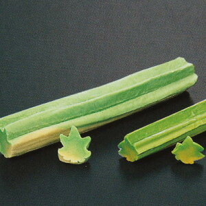 ݂n  10{(5{×2) Ⓚ ƖpR n gtn  y񂹕iz֓ߌ 