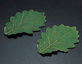 楽天市場 柏餅 葉の通販