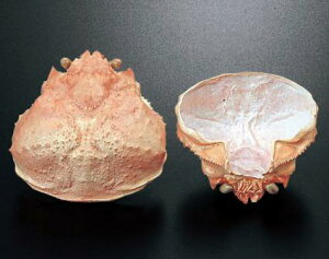 ɍbiIEIbEg킢bj70iƖpj9Z`/9E5Z`yӁz10800~ȏőΏۊOił