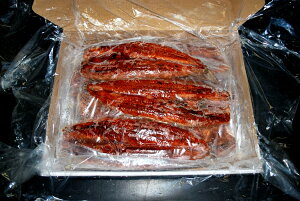 ySzYȂĖV@ʌ5Li25j200O